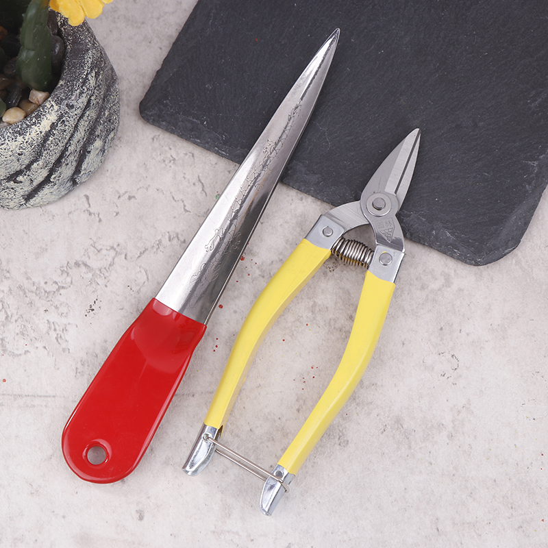 1set Professional Wicker Repai - مراجعة Woodworking Basic Tools وسعره